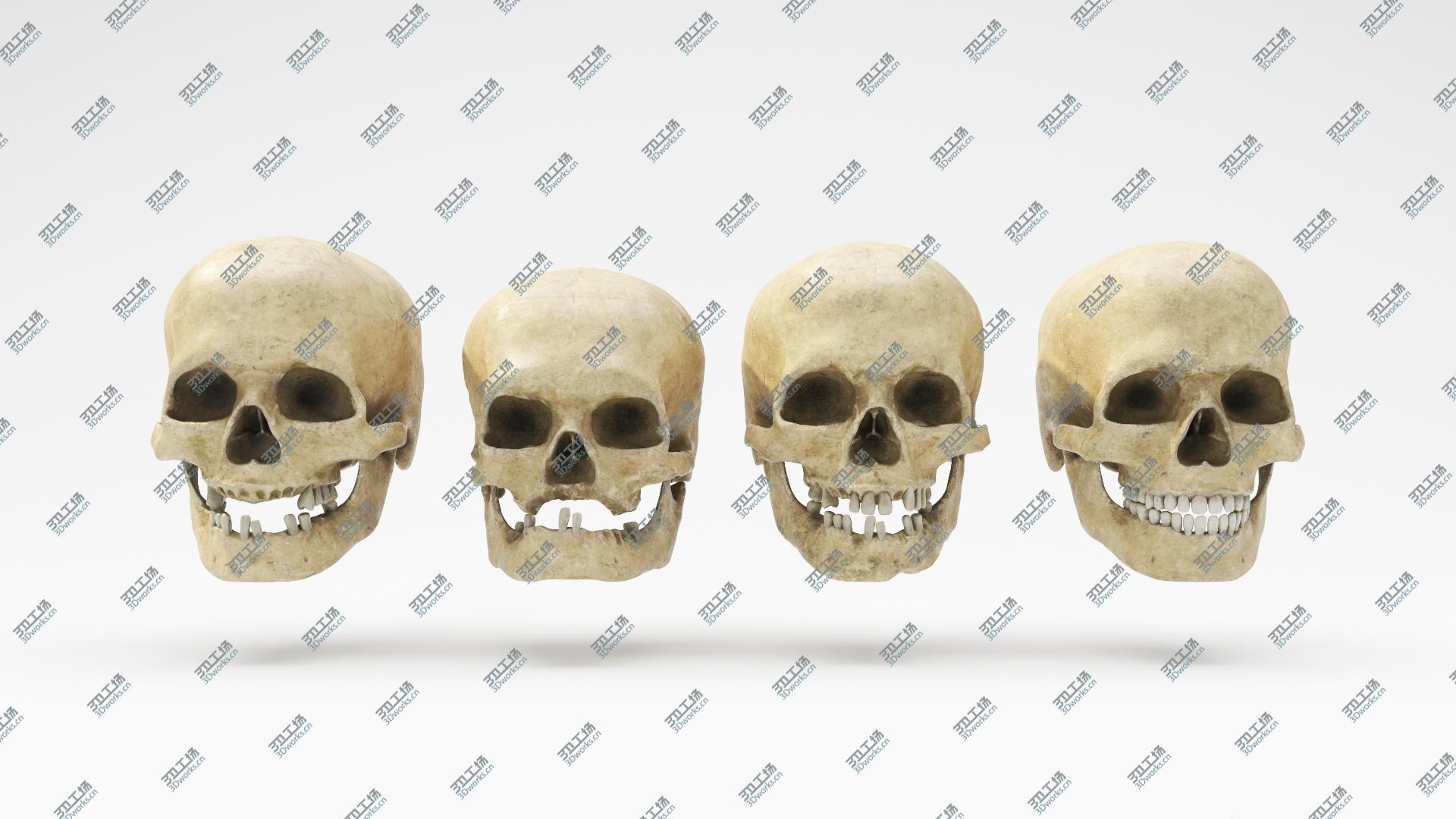 images/goods_img/2021040233/Human Skull Set 3D/3.jpg